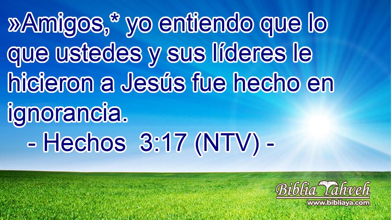 »Amigos,* yo entiendo que lo que ustedes y sus líderes le hicieron a Jesús fue hecho en ignorancia.