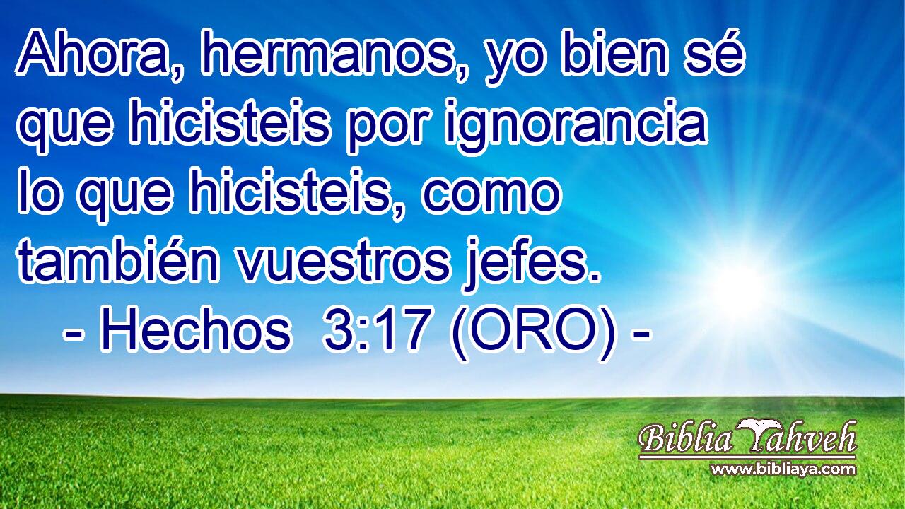  Ahora, hermanos, yo bien sé que hicisteis por ignorancia lo que hicisteis, como también vuestros jefes. 