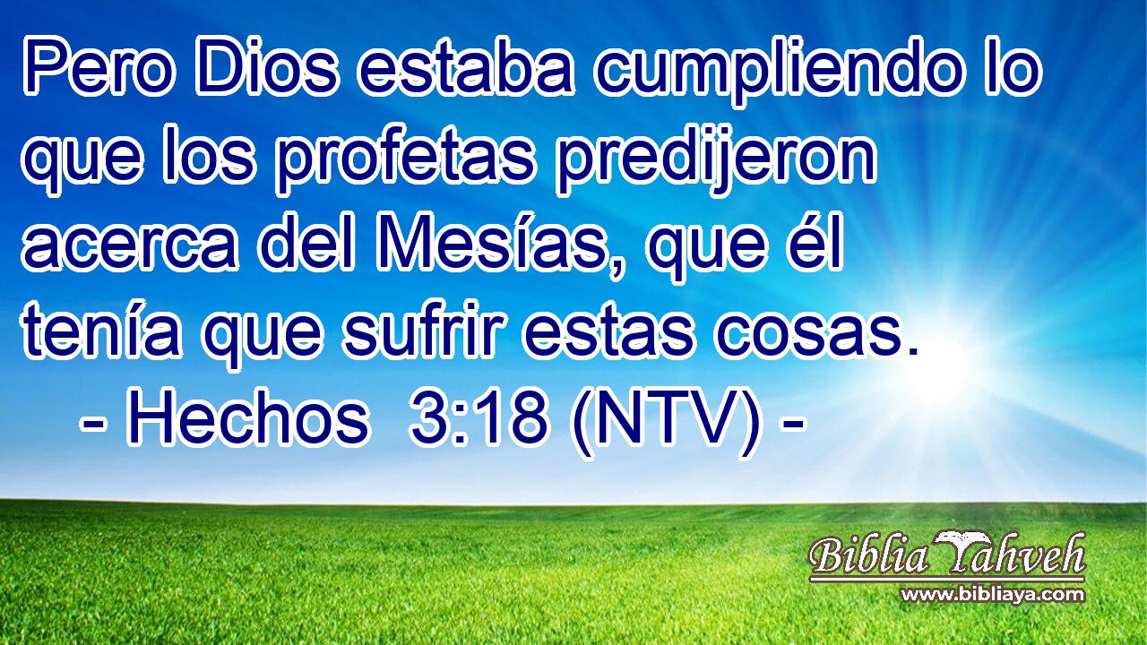 Pero Dios estaba cumpliendo lo que los profetas predijeron acerca del Mesías, que él tenía que sufrir estas cosas.