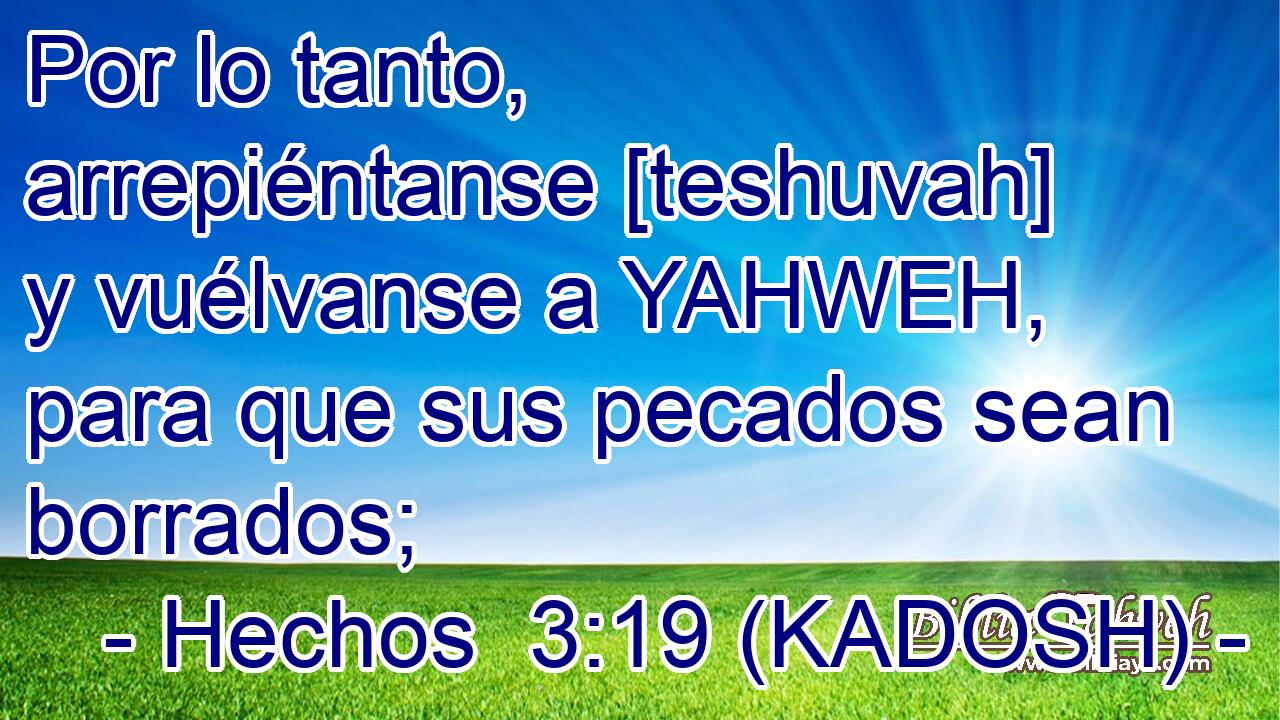  Por lo tanto, arrepiéntanse [teshuvah] y vuélvanse a YAHWEH, para que sus pecados sean borrados; 