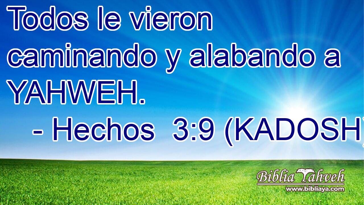  Todos le vieron caminando y alabando a YAHWEH. 