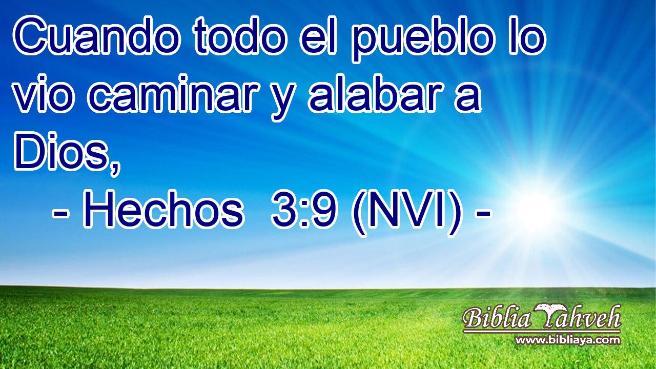  Cuando todo el pueblo lo vio caminar y alabar a Dios, 