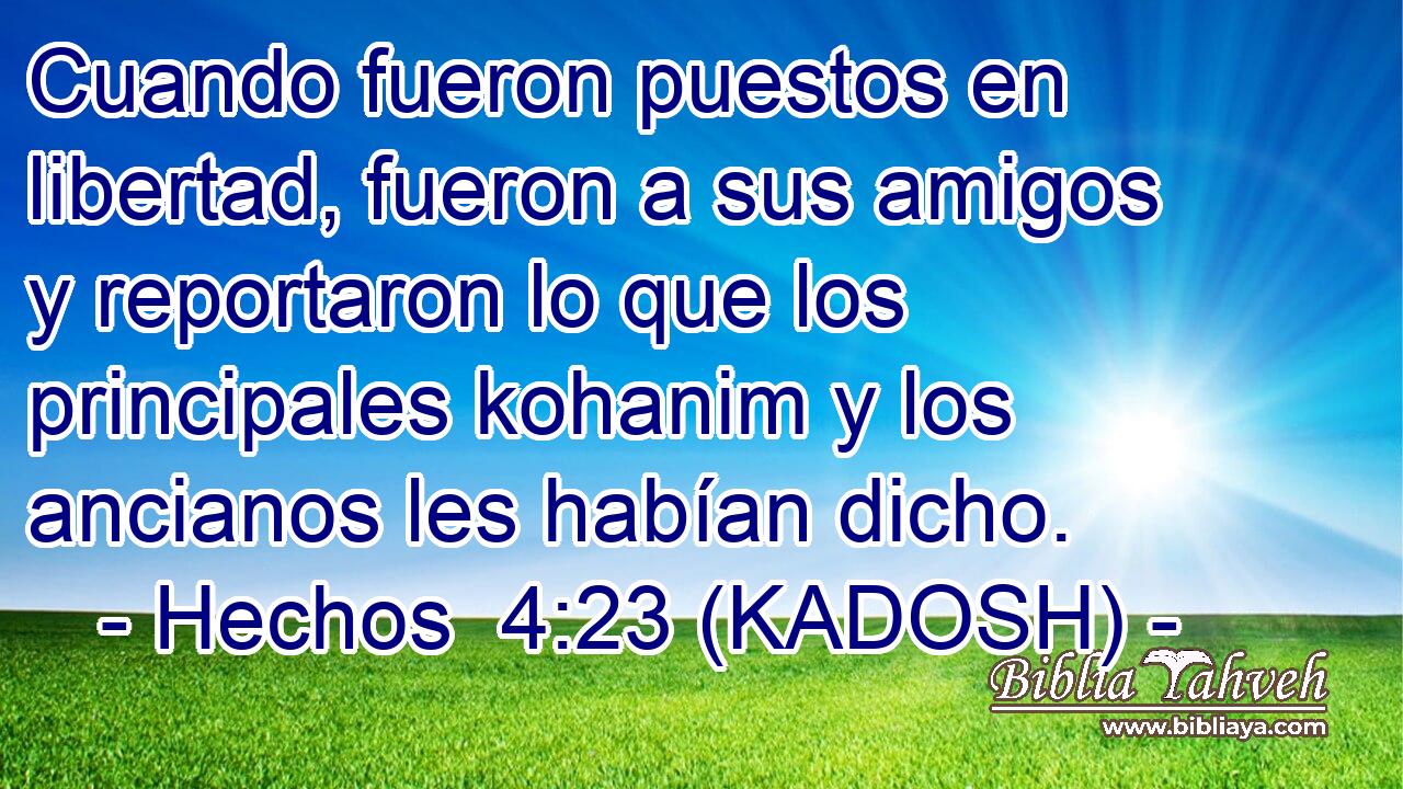  Cuando fueron puestos en libertad, fueron a sus amigos y reportaron lo que los principales kohanim y los ancianos les habían dicho. 