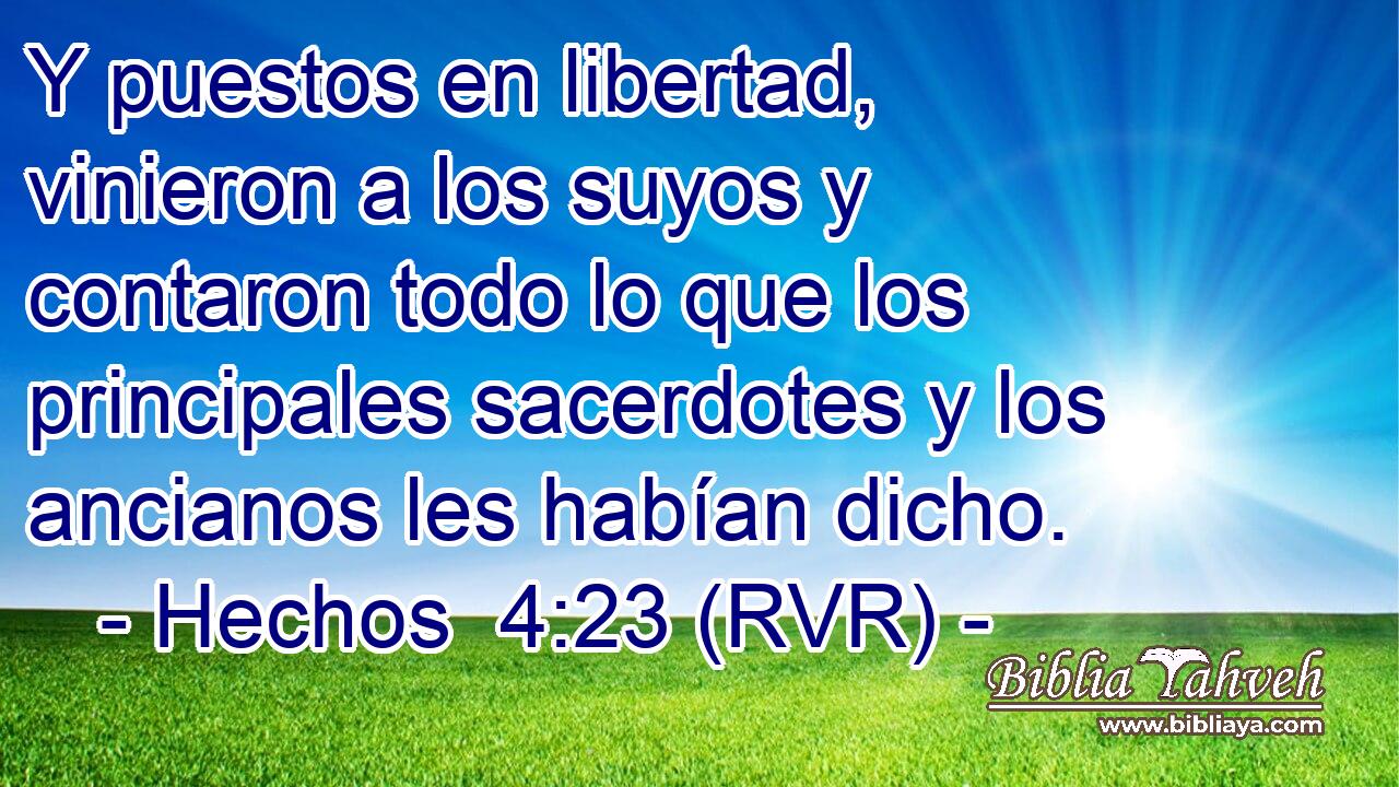 Y puestos en libertad, vinieron a los suyos y contaron todo lo que los principales sacerdotes y los ancianos les habían dicho.