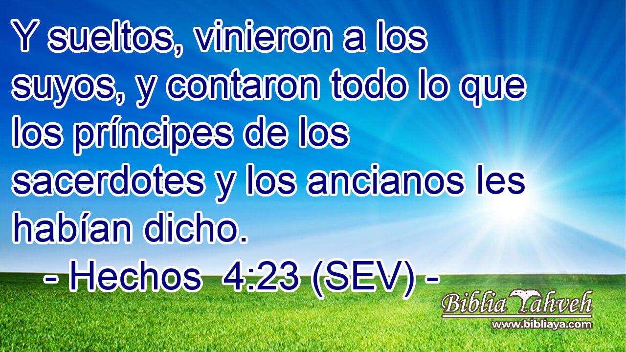 Y sueltos, vinieron a los suyos, y contaron todo lo que los príncipes de los sacerdotes y los ancianos les habían dicho.