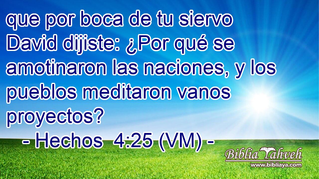  que por boca de tu siervo David dijiste: ¿Por qué se amotinaron las naciones, y los pueblos meditaron vanos proyectos? 