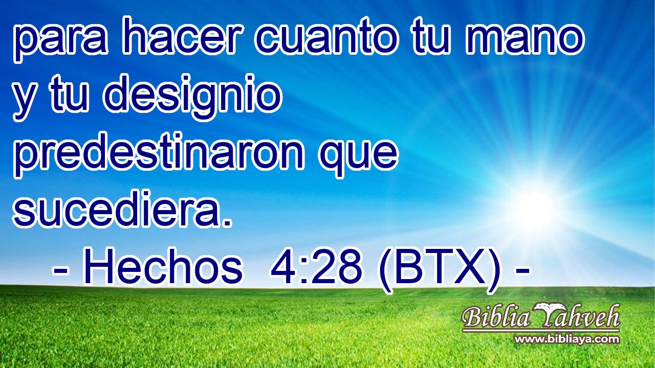 para hacer cuanto tu mano y tu designio predestinaron que sucediera.