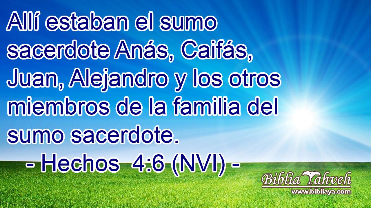  Allí estaban el sumo sacerdote Anás, Caifás, Juan, Alejandro y los otros miembros de la familia del sumo sacerdote. 