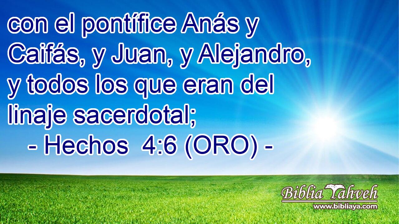  con el pontífice Anás y Caifás, y Juan, y Alejandro, y todos los que eran del linaje sacerdotal; 