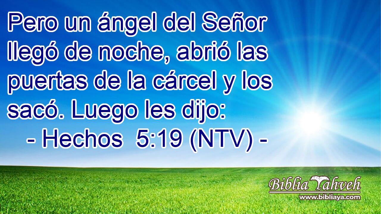 Pero un ángel del Señor llegó de noche, abrió las puertas de la cárcel y los sacó. Luego les dijo: