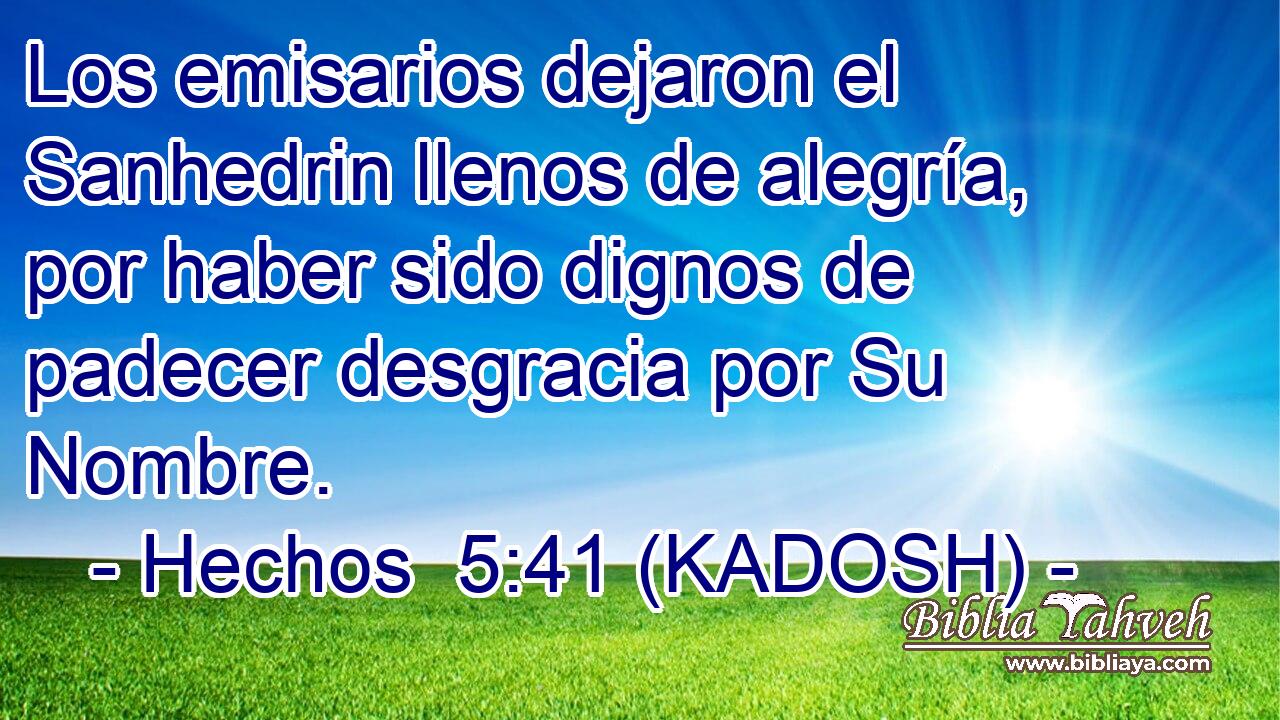  Los emisarios dejaron el Sanhedrin llenos de alegría, por haber sido dignos de padecer desgracia por Su Nombre. 