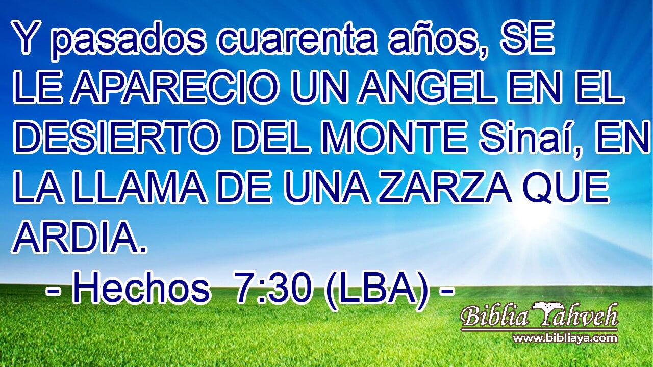 Y pasados cuarenta años, SE LE APARECIO UN ANGEL EN EL DESIERTO DEL MONTE Sinaí, EN LA LLAMA DE UNA ZARZA QUE ARDIA.