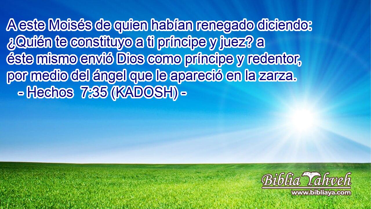  A este Moisés de quien habían renegado diciendo: ¿Quién te constituyo a ti príncipe y juez? a éste mismo envió Dios como príncipe y redentor, por medio del ángel que le apareció en la zarza. 