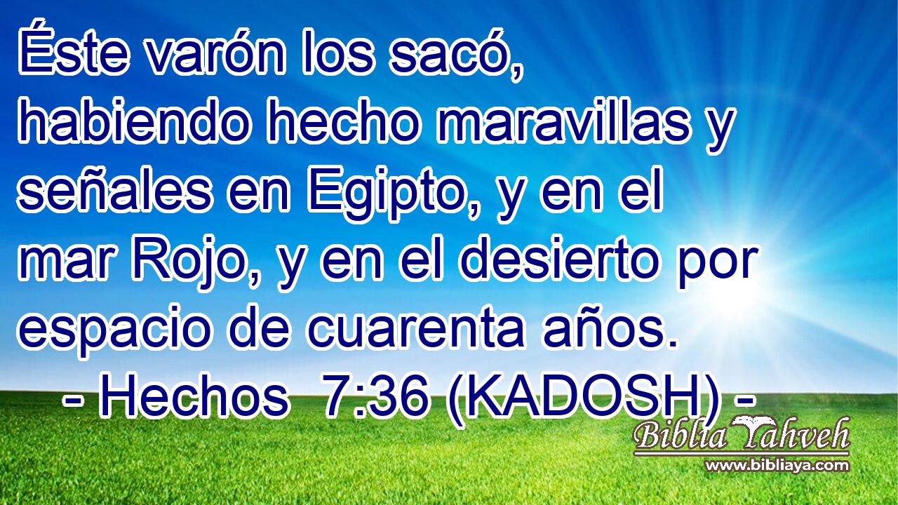  Éste varón los sacó, habiendo hecho maravillas y señales en Egipto, y en el mar Rojo, y en el desierto por espacio de cuarenta años. 