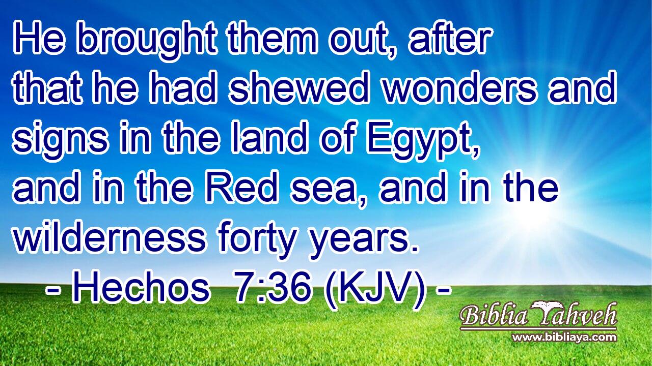 He brought them out, after that he had shewed wonders and signs in the land of Egypt, and in the Red sea, and in the wilderness forty years.