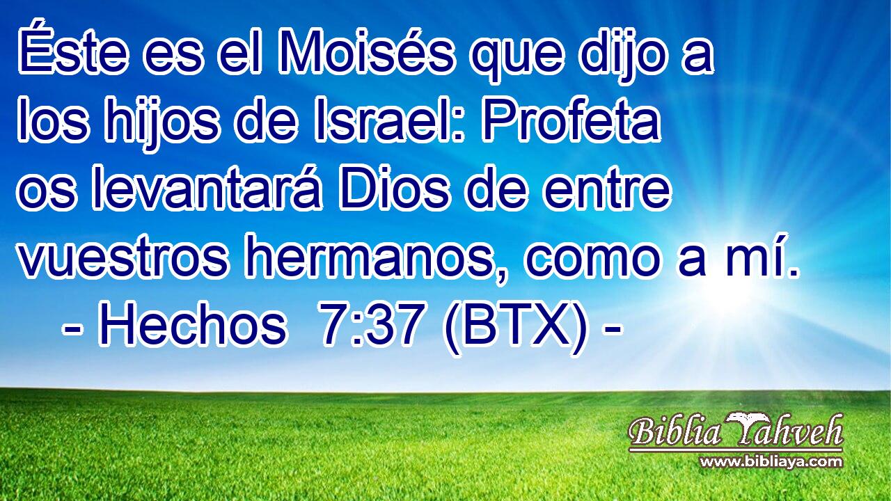 Éste es el Moisés que dijo a los hijos de Israel: Profeta os levantará Dios de entre vuestros hermanos, como a mí.