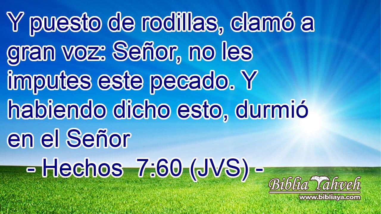 Y puesto de rodillas, clamó a gran voz: Señor, no les imputes este pecado. Y habiendo dicho esto, durmió en el Señor