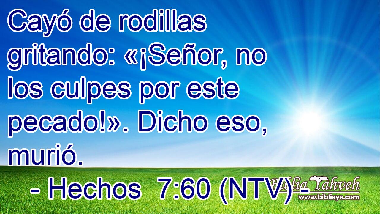 Cayó de rodillas gritando: «¡Señor, no los culpes por este pecado!». Dicho eso, murió.