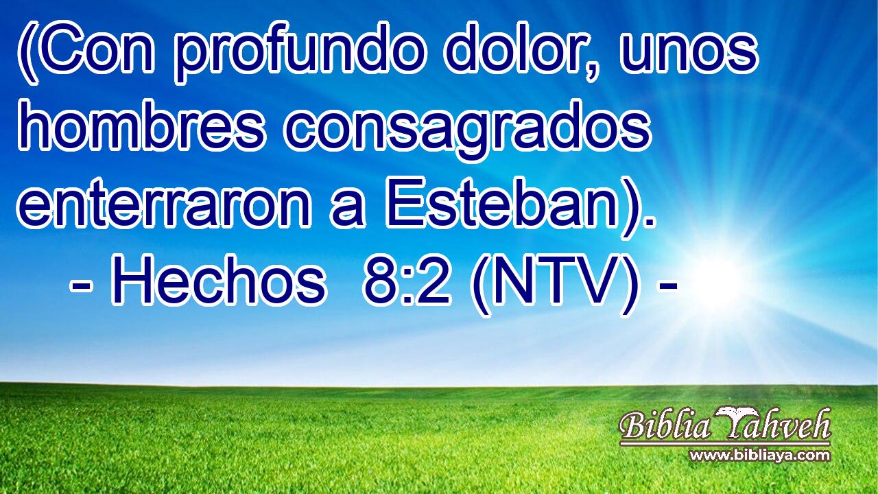 (Con profundo dolor, unos hombres consagrados enterraron a Esteban).