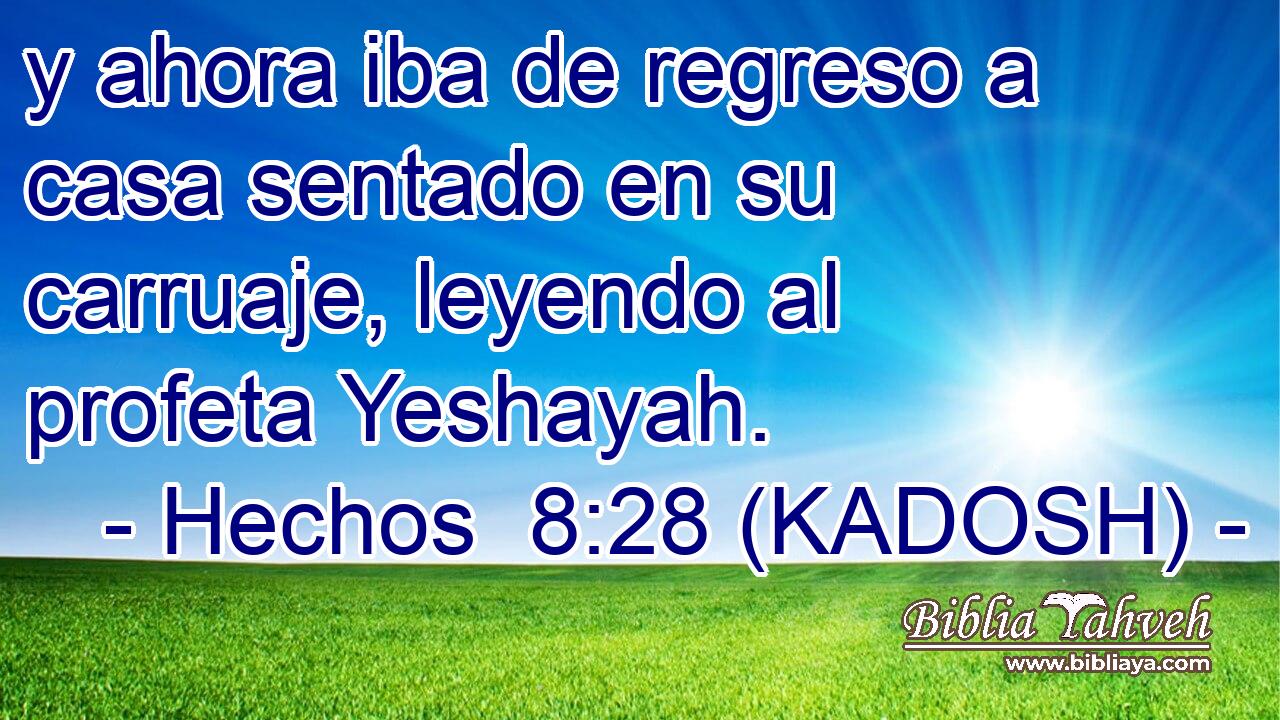  y ahora iba de regreso a casa sentado en su carruaje, leyendo al profeta Yeshayah. 