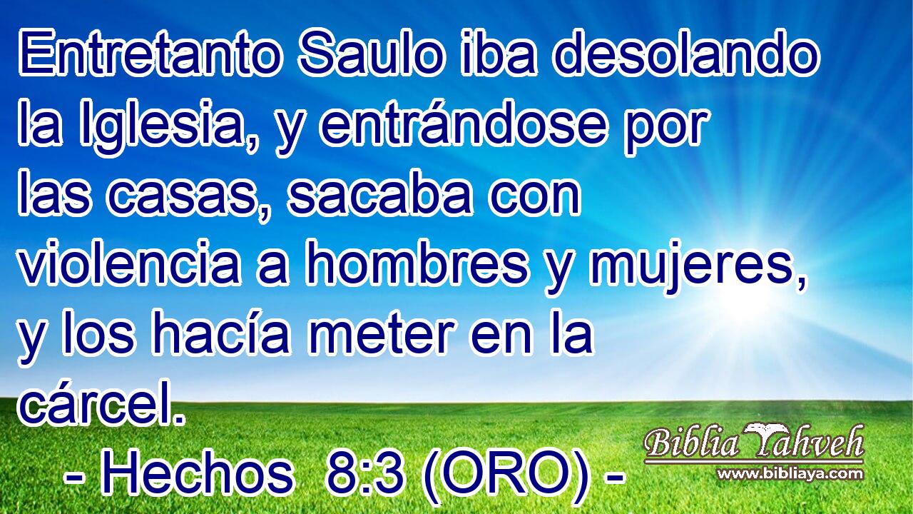 Entretanto Saulo iba desolando la Iglesia, y entrándose por las casas, sacaba con violencia a hombres y mujeres, y los hacía meter en la cárcel. 