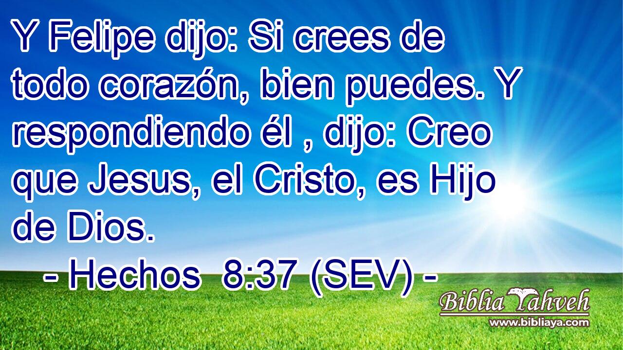 Y Felipe dijo: Si crees de todo corazón, bien puedes. Y respondiendo él , dijo: Creo que Jesus, el Cristo, es Hijo de Dios.