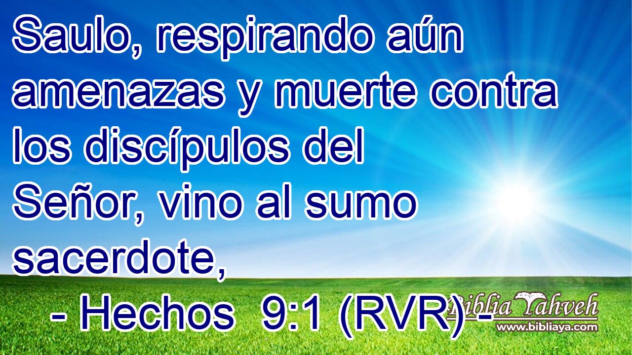 Saulo, respirando aún amenazas y muerte contra los discípulos del Señor, vino al sumo sacerdote,