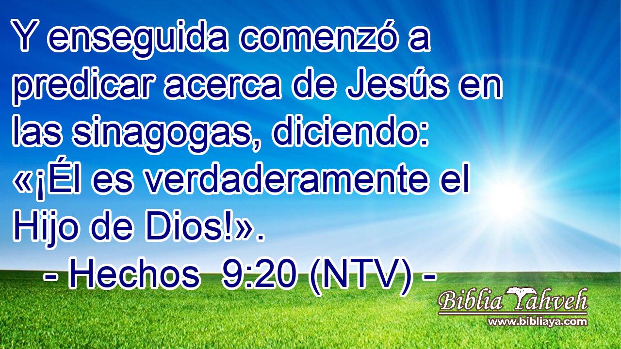 Y enseguida comenzó a predicar acerca de Jesús en las sinagogas, diciendo: «¡Él es verdaderamente el Hijo de Dios!».