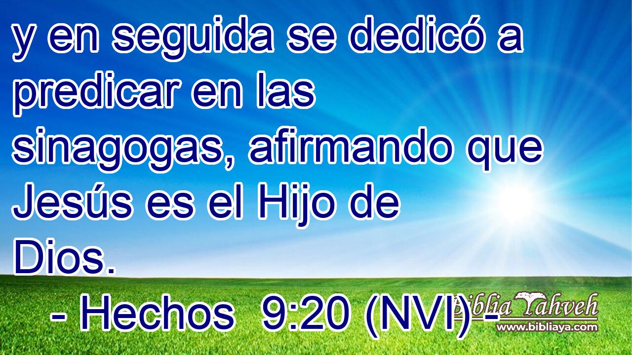  y en seguida se dedicó a predicar en las sinagogas, afirmando que Jesús es el Hijo de Dios. 