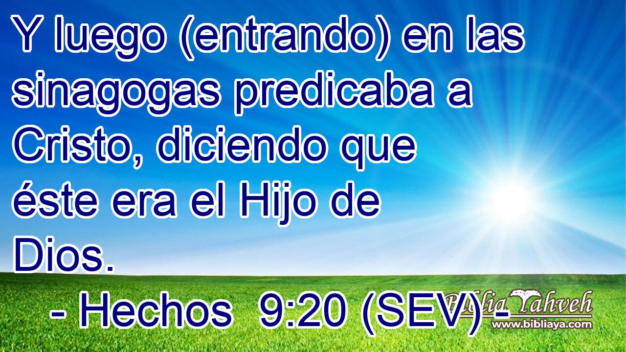 Y luego (entrando) en las sinagogas predicaba a Cristo, diciendo que éste era el Hijo de Dios.