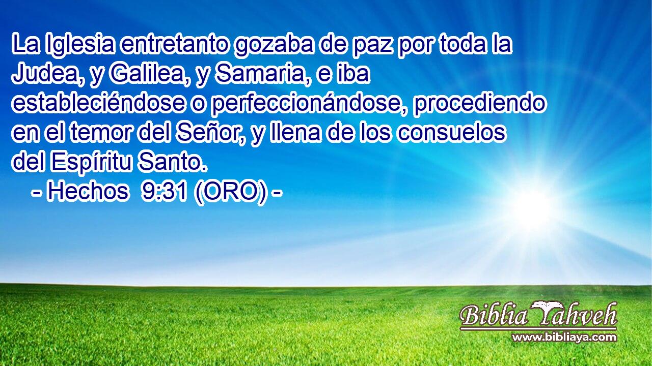  La Iglesia entretanto gozaba de paz por toda la Judea, y Galilea, y Samaria, e iba estableciéndose o perfeccionándose, procediendo en el temor del Señor, y llena de los consuelos del Espíritu Santo. 