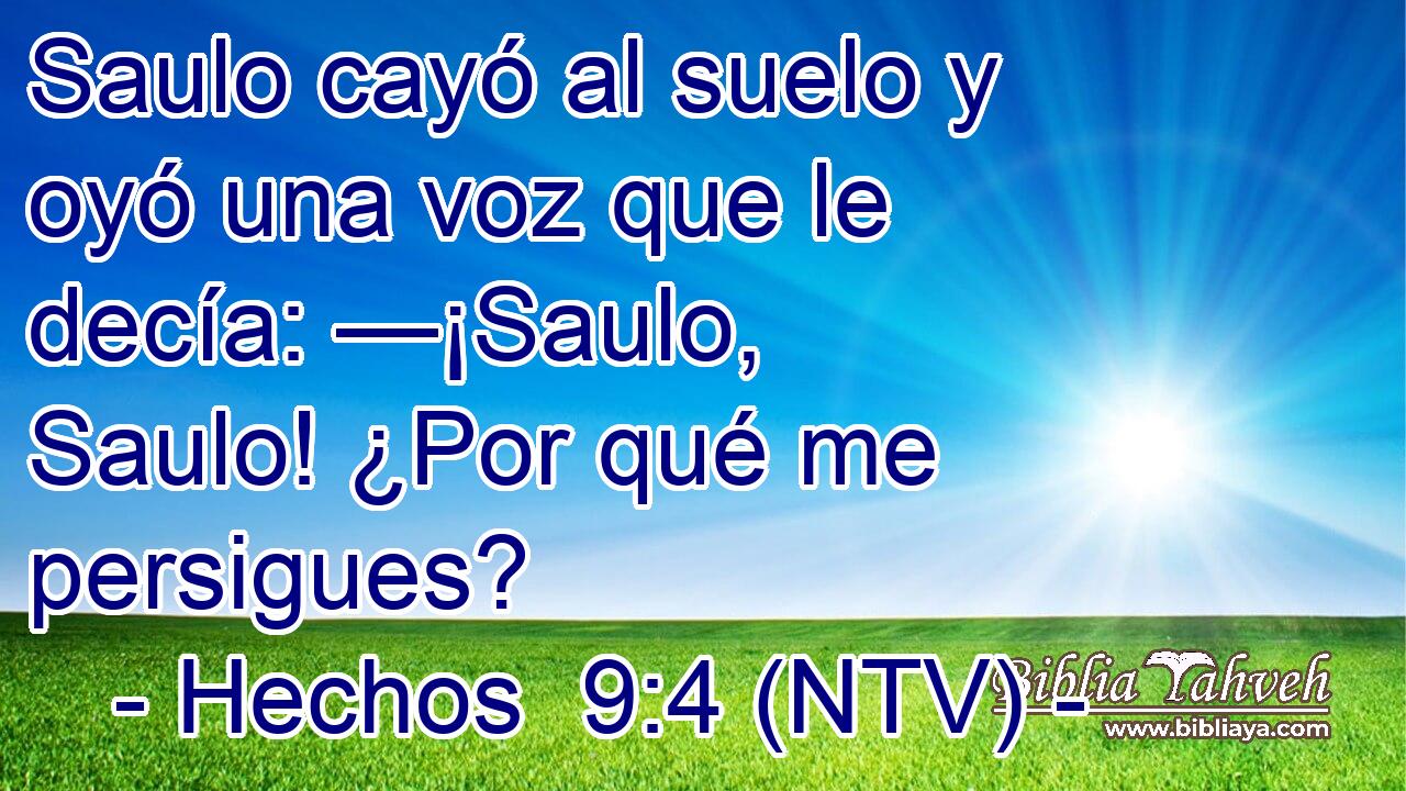 Saulo cayó al suelo y oyó una voz que le decía: —¡Saulo, Saulo! ¿Por qué me persigues?