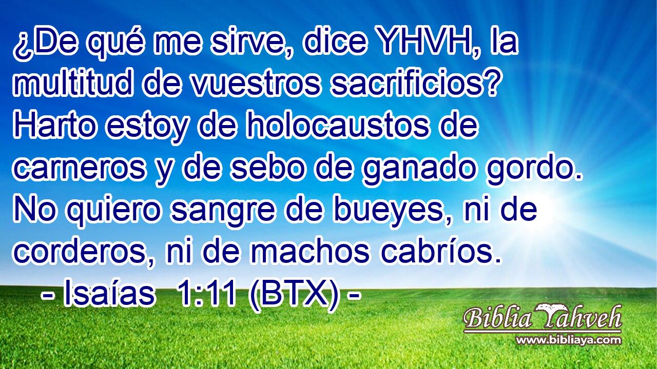 ¿De qué me sirve, dice YHVH, la multitud de vuestros sacrificios? Harto estoy de holocaustos de carneros y de sebo de ganado gordo. No quiero sangre de bueyes, ni de corderos, ni de machos cabríos.