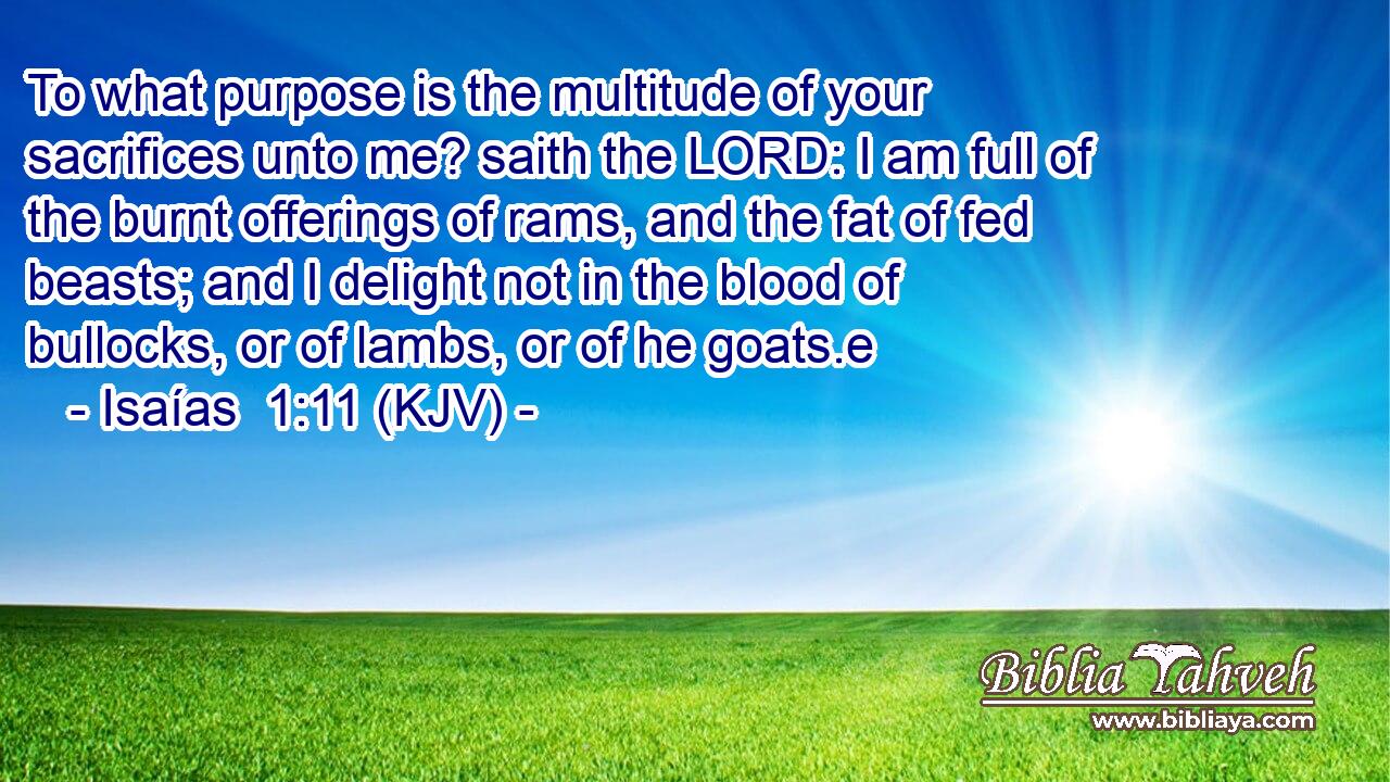 To what purpose is the multitude of your sacrifices unto me? saith the LORD: I am full of the burnt offerings of rams, and the fat of fed beasts; and I delight not in the blood of bullocks, or of lambs, or of he goats.e