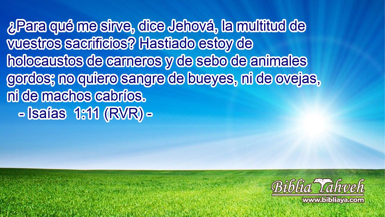 ¿Para qué me sirve, dice Jehová, la multitud de vuestros sacrificios? Hastiado estoy de holocaustos de carneros y de sebo de animales gordos; no quiero sangre de bueyes, ni de ovejas, ni de machos cabríos.