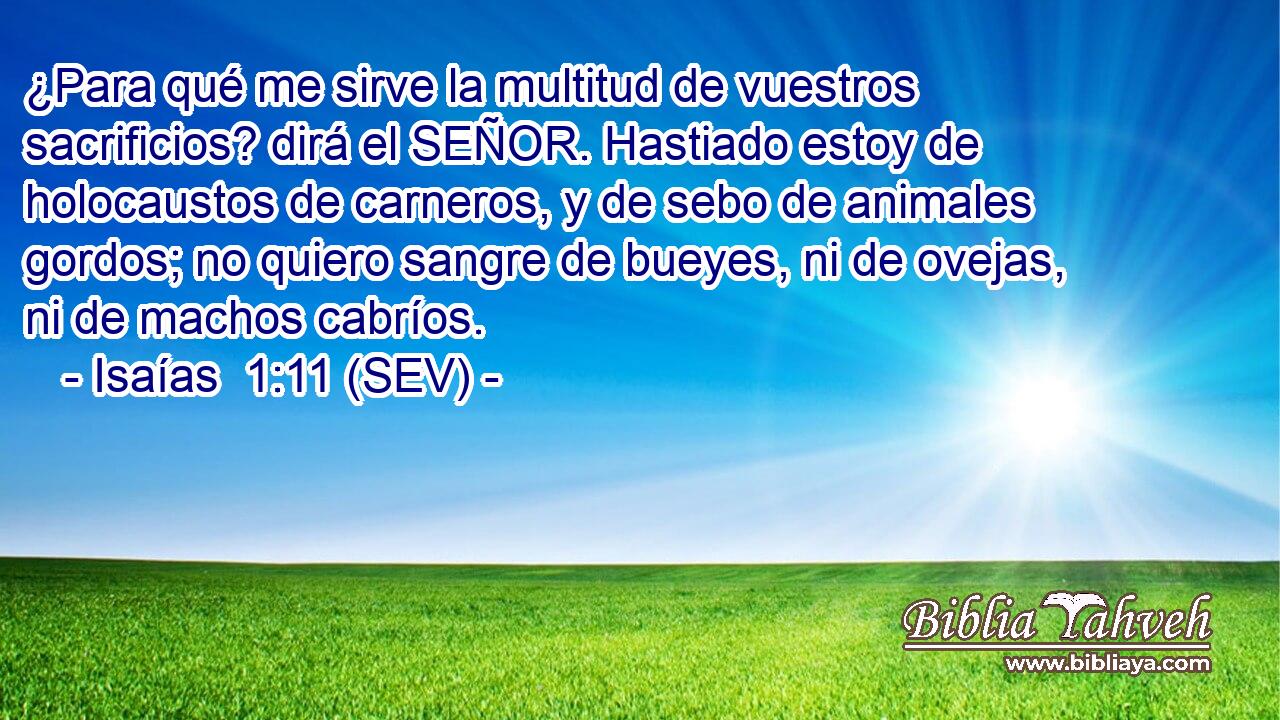 ¿Para qué me sirve la multitud de vuestros sacrificios? dirá el SEÑOR. Hastiado estoy de holocaustos de carneros, y de sebo de animales gordos; no quiero sangre de bueyes, ni de ovejas, ni de machos cabríos.
