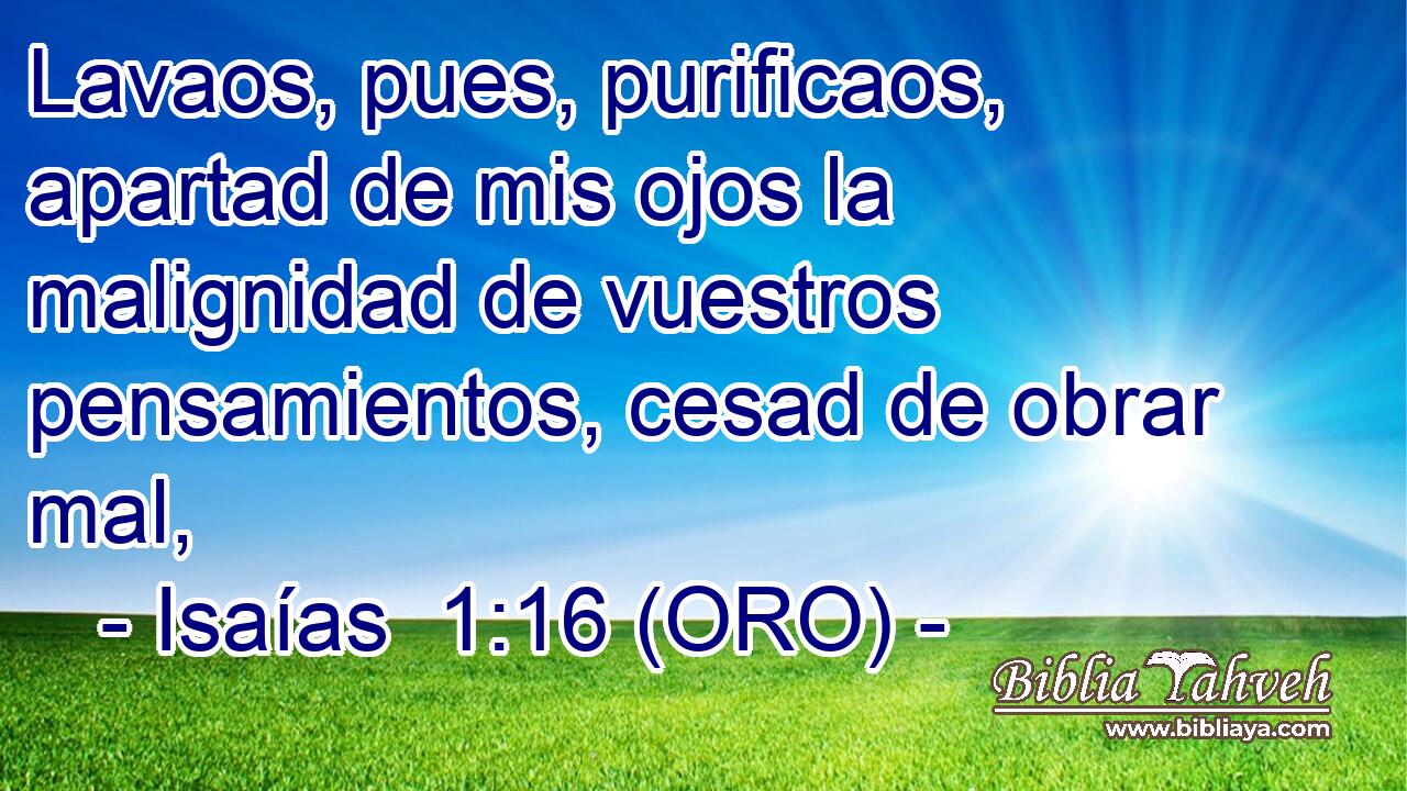  Lavaos, pues, purificaos, apartad de mis ojos la malignidad de vuestros pensamientos, cesad de obrar mal, 