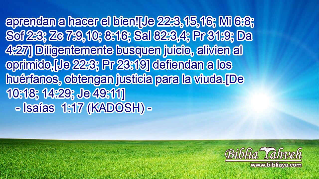  aprendan a hacer el bien![Je 22:3,15,16; Mi 6:8; Sof 2:3; Zc 7:9,10; 8:16; Sal 82:3,4; Pr 31:9; Da 4:27] Diligentemente busquen juicio, alivien al oprimido,[Je 22:3; Pr 23:19] defiendan a los huérfanos, obtengan justicia para la viuda.[De 10:18; 14:29; Je 49:11] 