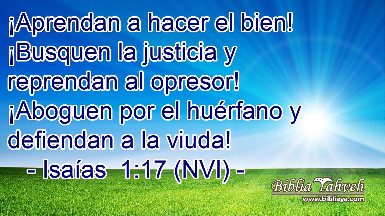  ¡Aprendan a hacer el bien! ¡Busquen la justicia y reprendan al opresor! ¡Aboguen por el huérfano y defiendan a la viuda! 