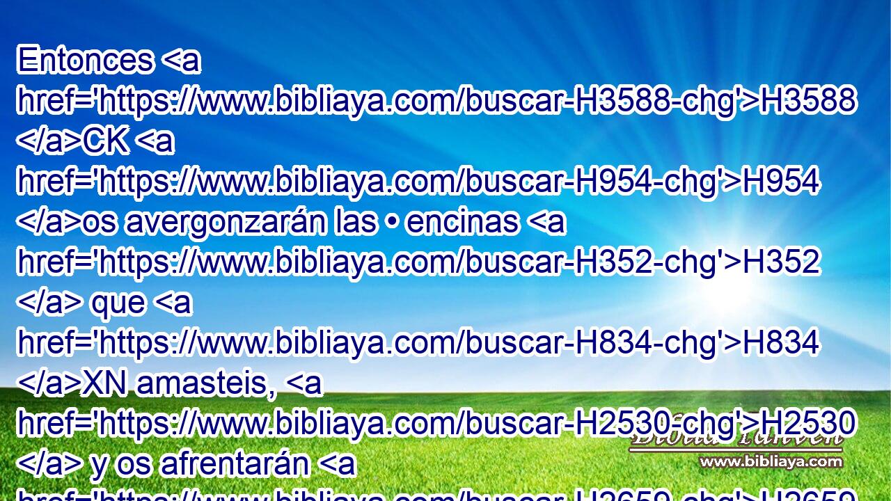 Entonces H3588 CK H954 os avergonzarán las • encinas H352  que H834 XN amasteis, H2530  y os afrentarán H2659  • los huertos H1593 H que H834 XN escogisteis. H977  