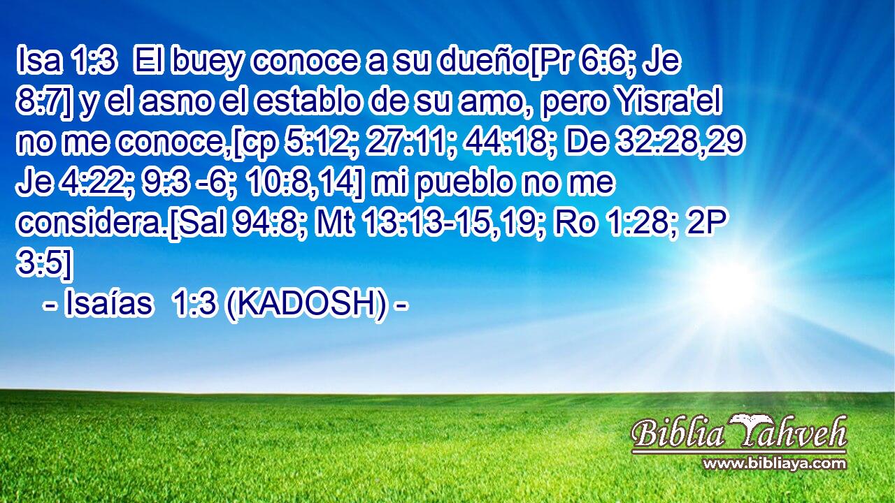  El buey conoce a su dueño[Pr 6:6; Je 8:7] y el asno el establo de su amo, pero Yisra'el no me conoce,[cp 5:12; 27:11; 44:18; De 32:28,29 Je 4:22; 9:3 -6; 10:8,14] mi pueblo no me considera.[Sal 94:8; Mt 13:13-15,19; Ro 1:28; 2P 3:5] 