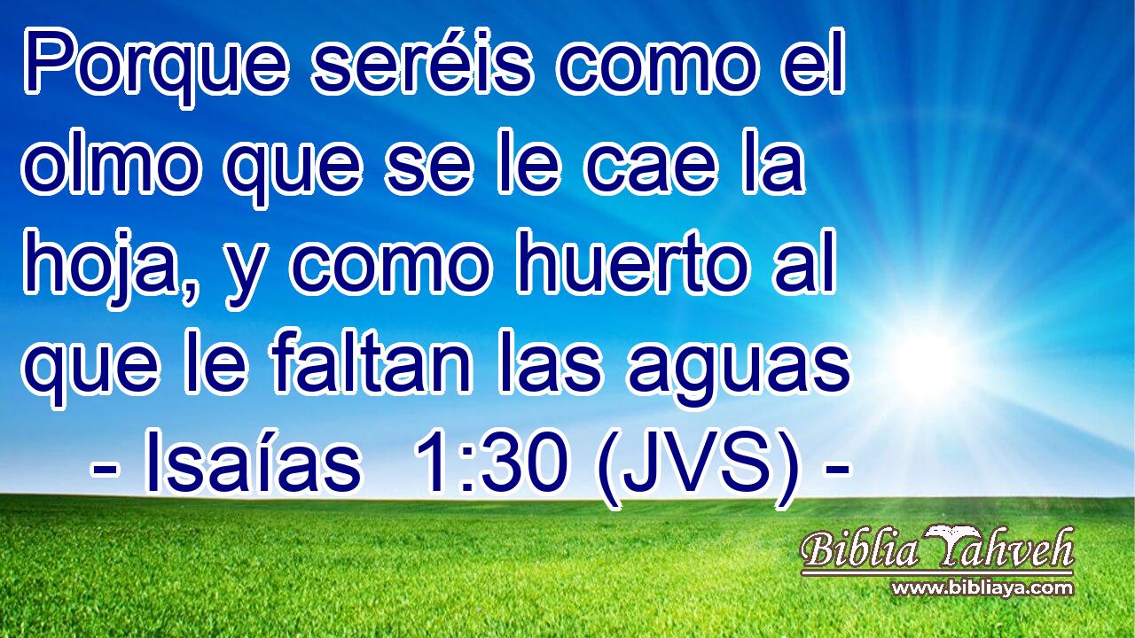 Porque seréis como el olmo que se le cae la hoja, y como huerto al que le faltan las aguas