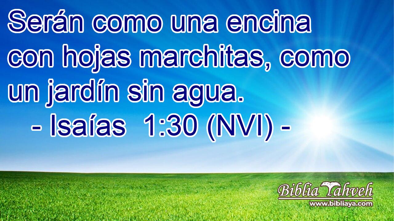  Serán como una encina con hojas marchitas, como un jardín sin agua. 