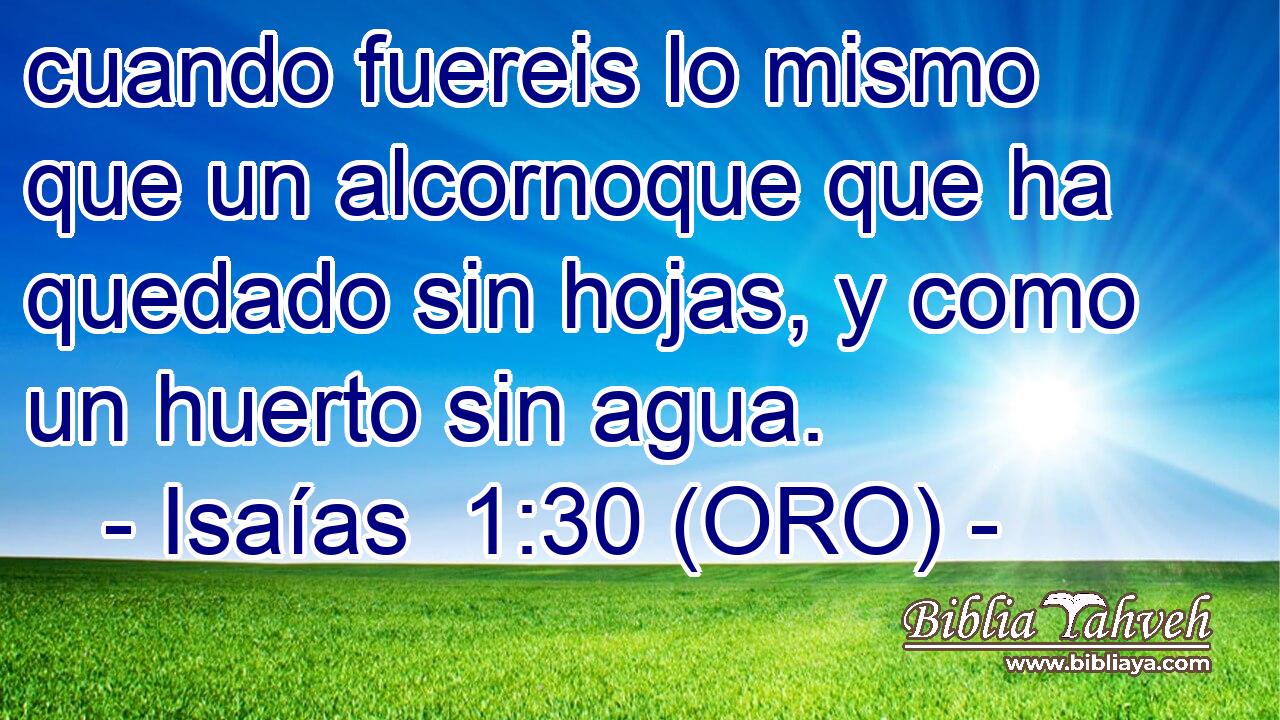  cuando fuereis lo mismo que un alcornoque que ha quedado sin hojas, y como un huerto sin agua. 
