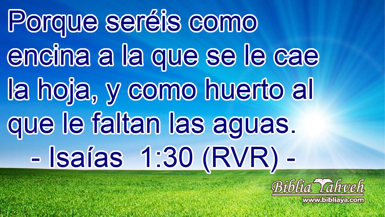 Porque seréis como encina a la que se le cae la hoja, y como huerto al que le faltan las aguas.