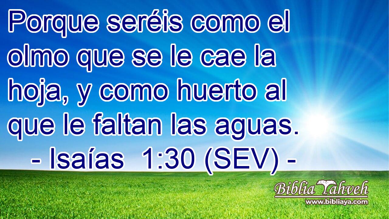 Porque seréis como el olmo que se le cae la hoja, y como huerto al que le faltan las aguas.