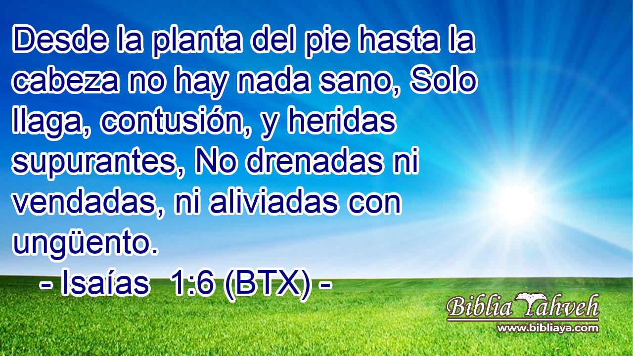 Desde la planta del pie hasta la cabeza no hay nada sano, Solo llaga, contusión, y heridas supurantes, No drenadas ni vendadas, ni aliviadas con ungüento.