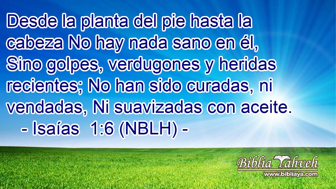  Desde la planta del pie hasta la cabeza No hay nada sano en él, Sino golpes, verdugones y heridas recientes; No han sido curadas, ni vendadas, Ni suavizadas con aceite. 