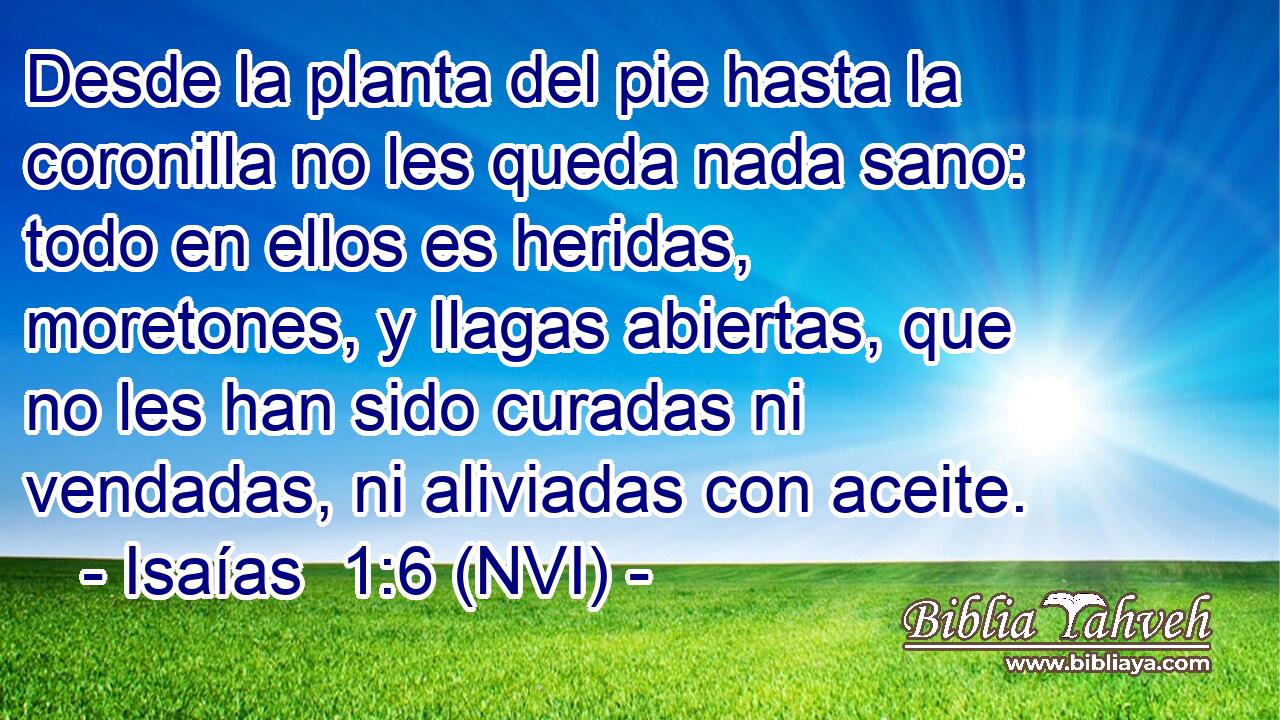  Desde la planta del pie hasta la coronilla no les queda nada sano: todo en ellos es heridas, moretones, y llagas abiertas, que no les han sido curadas ni vendadas, ni aliviadas con aceite. 