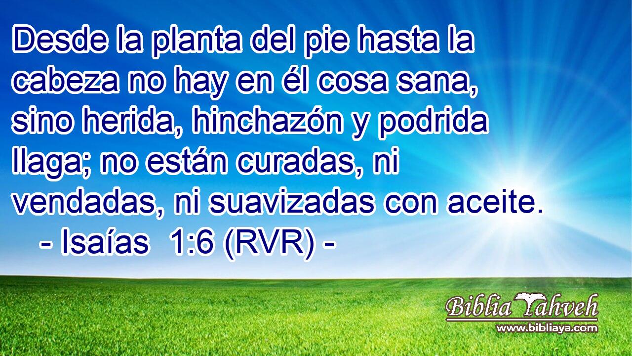 Desde la planta del pie hasta la cabeza no hay en él cosa sana, sino herida, hinchazón y podrida llaga; no están curadas, ni vendadas, ni suavizadas con aceite.